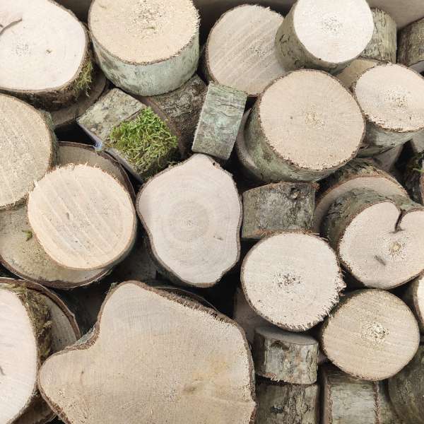 2 Kg di dischi di legno da 3 a 8 cm
